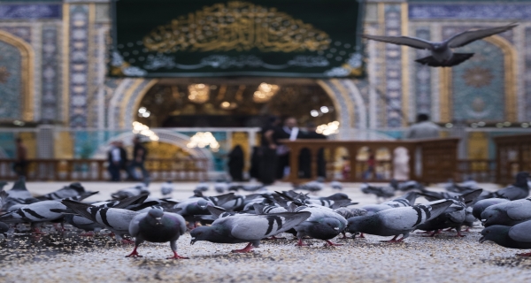 شهر رمضان المبارك