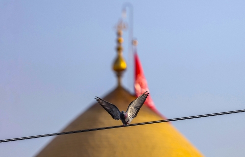 السلام عليك يا أبا الفضل العباس