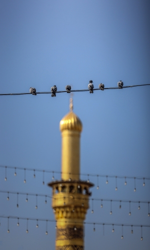 اللهم صل على محمد وآل محمد