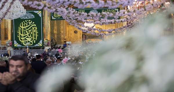 حرم أبي الفضل العباس عليه السلام