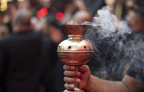 ..اَلسَّلامُ عَلَيْكَ يَابْنَ سَيِّدِ الْوَصِيِّينَ ....