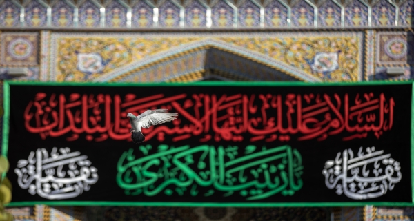 السلام على عقيلة بني هاشم 