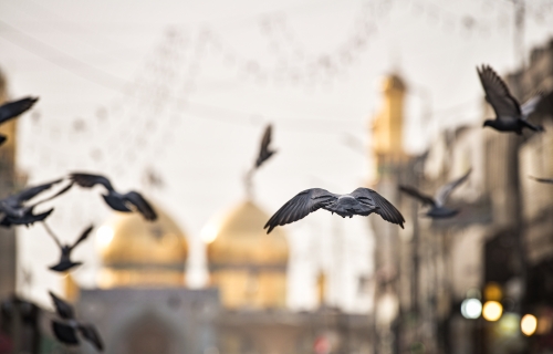 ياباب الحوائج ياموسى بن جعفر