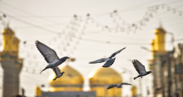 العتبة الكاظمية المقدسة 