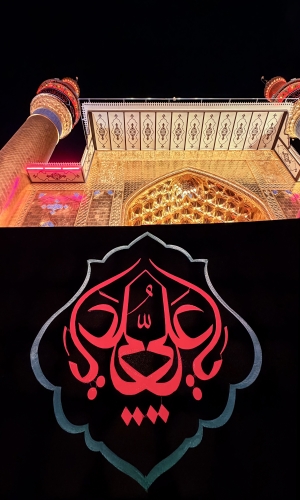  السلام عليك يا امير المؤمنين وسيد الوصيين 