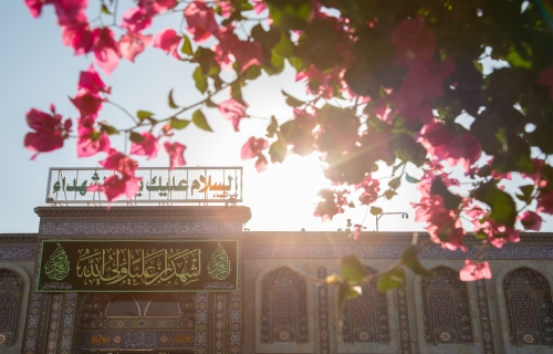 أَشْهَدُ أَنَّ عَلِيّاً وَلِيُّ اللهِ